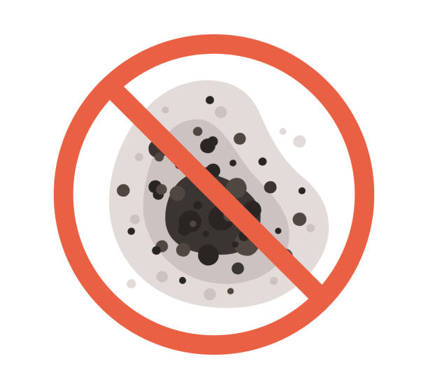 Mold Documentation for Insurance Claims in Charlack, MO