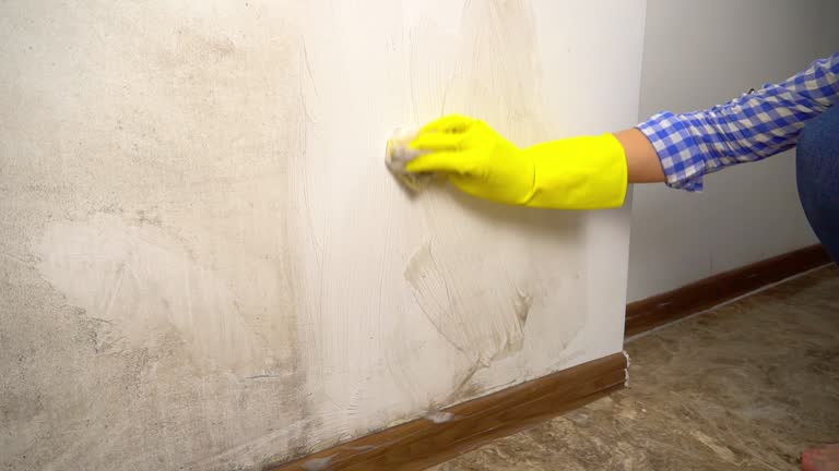 Best Mold Odor Removal Services  in Charlack, MO