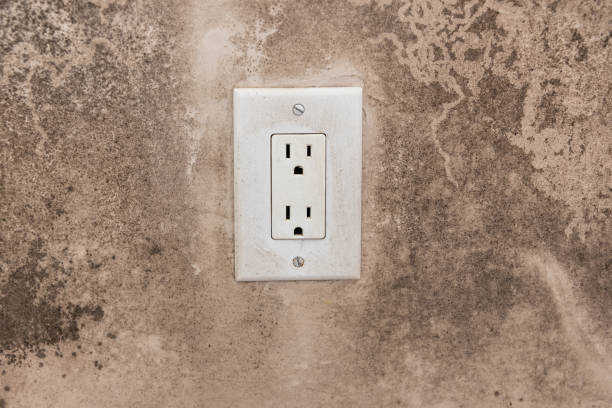  Charlack, MO Mold Removal Pros